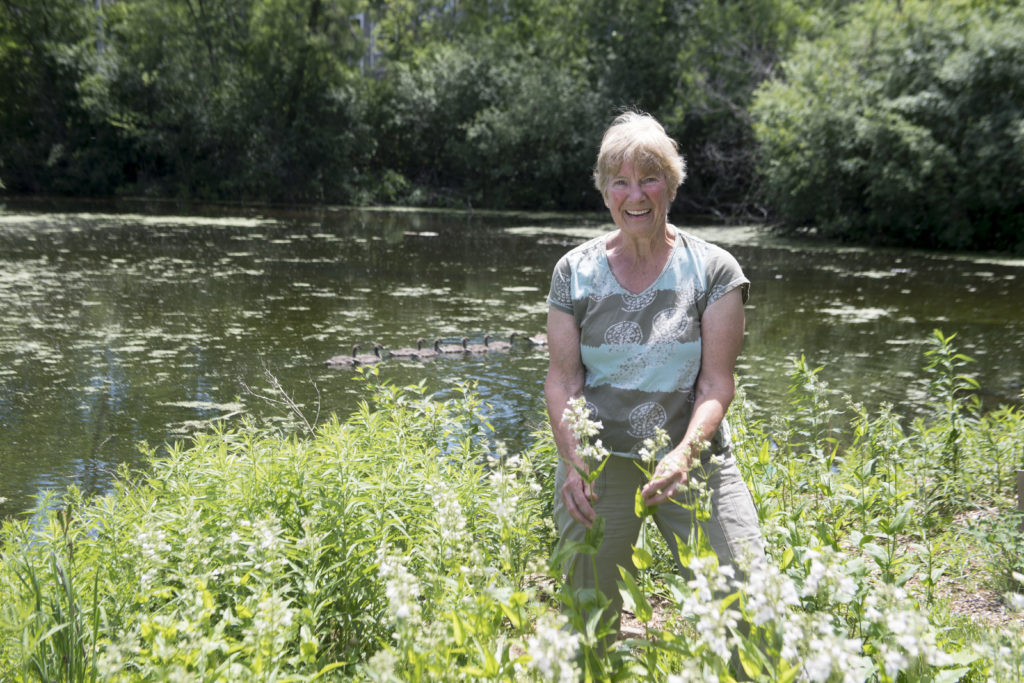 Avid gardener, Carol Rothe, and her shoreline planting