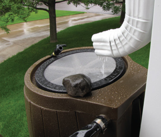 Capture rain water