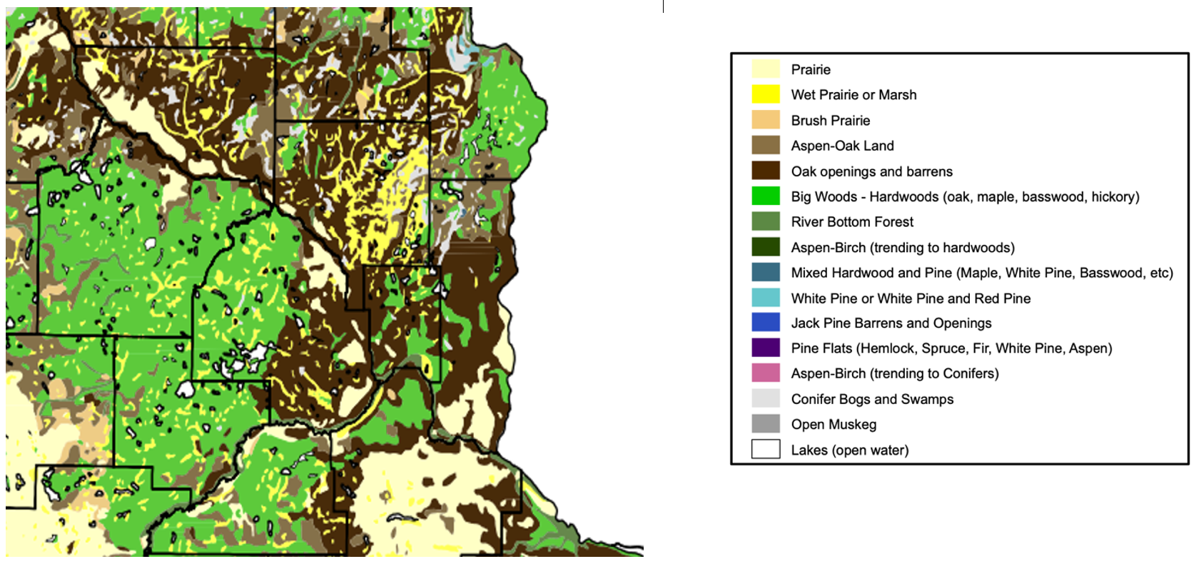 The Original Vegetation of Minnesota