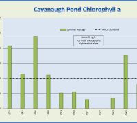 Cavanaugh chla 2025