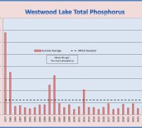 Westwood TP 2025
